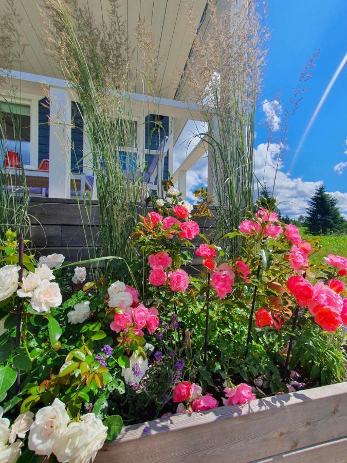 Kalda Holiday Home Отепя Экстерьер фото